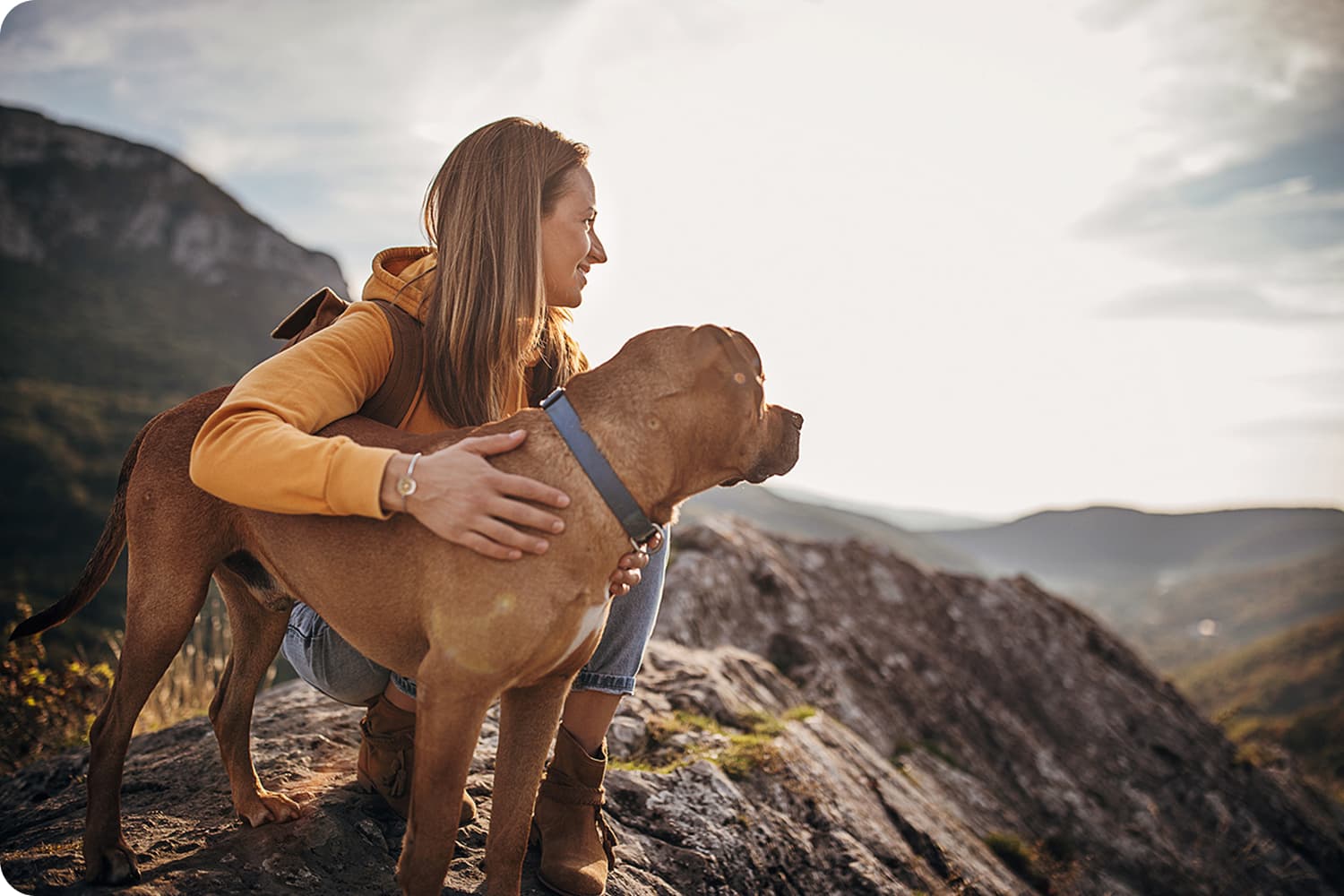 Pet Friendly Vacation Rentals